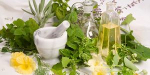 Herbs for hairloss