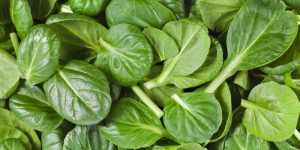 Spinach skin benefits