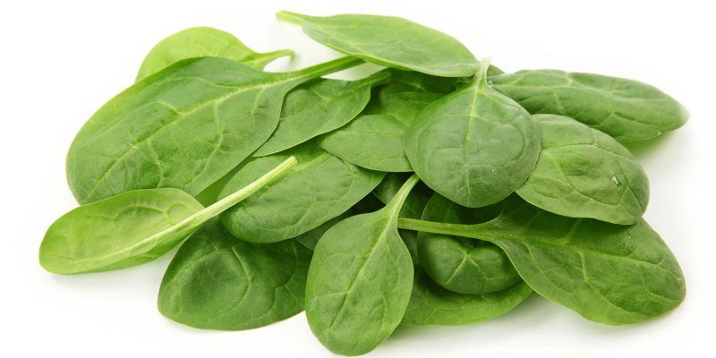 Spinach health benefits