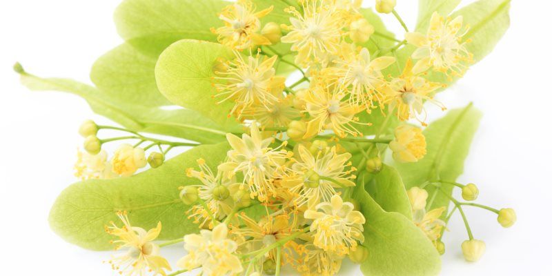 Tilla skin and hair benefits