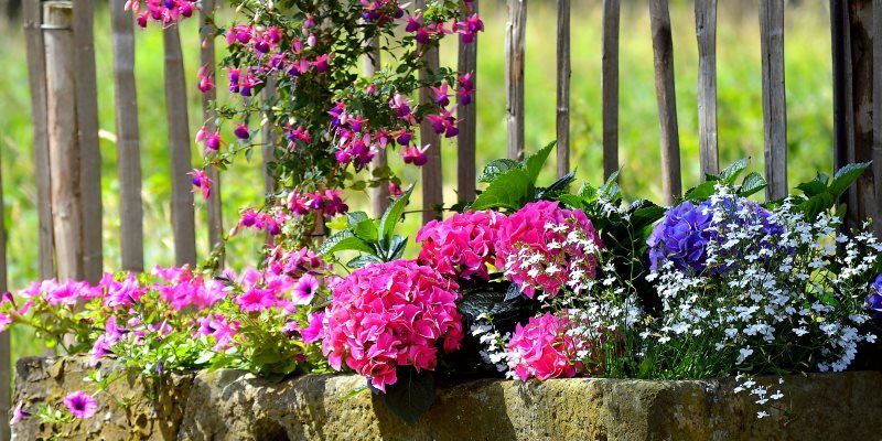 Create a unique herb garden