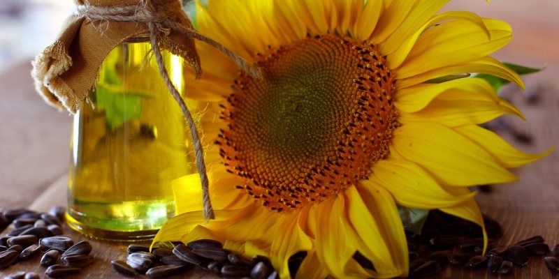 &eta;&lambda;&iota;&omicron;&tau;&rho;&omicron;&pi;&iota;&omicron; &kappa;&alpha;&lambda;&lambda;&upsilon;&nu;&tau;&iota;&kappa;&epsilon;&sigmaf; &chi;&rho;&eta;&sigma;&epsilon;&iota;&sigmaf;