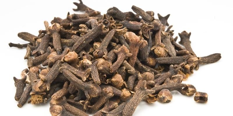 &gamma;&alpha;&rho;&upsilon;&phi;&alpha;&lambda;&lambda;&omicron; &theta;&epsilon;&rho;&alpha;&pi;&epsilon;&upsilon;&tau;&iota;&kappa;&epsilon;&sigmaf; &iota;&delta;&iota;ό&tau;&eta;&tau;&epsilon;&sigmaf;