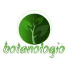 &beta;&omicron;&tau;&alpha;&nu;&alpha;