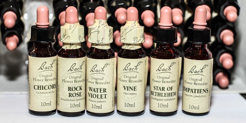 bach remedies