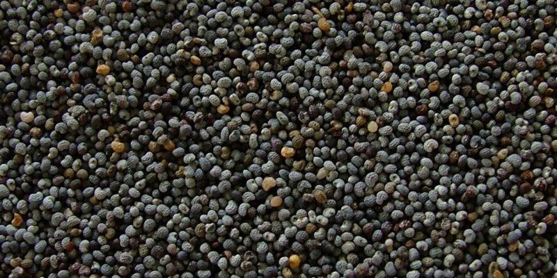 Poppy seed health benefits