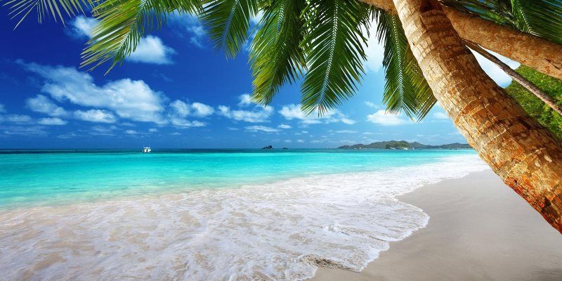 Herbs for safe summer tan