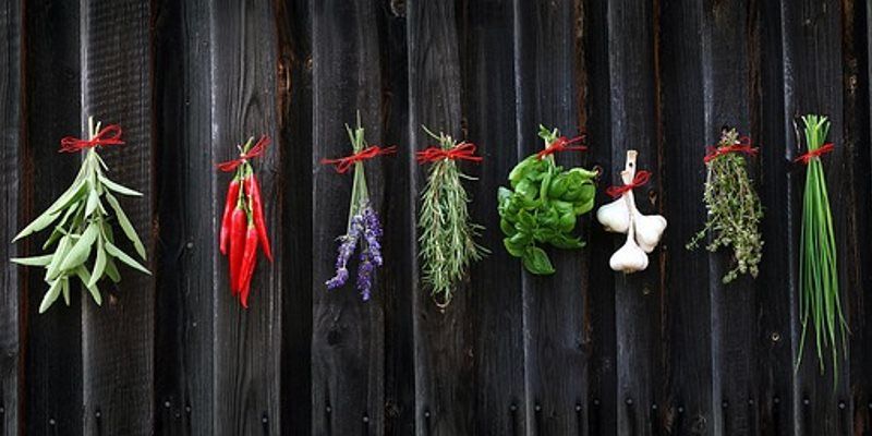 herbs synergy