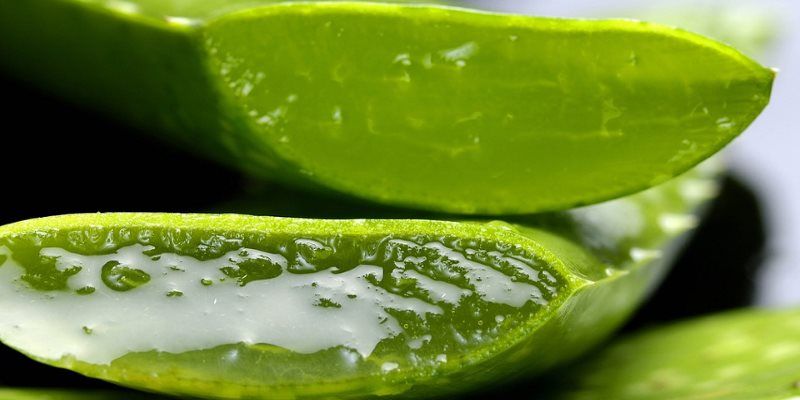 Aloe Vera gel uses